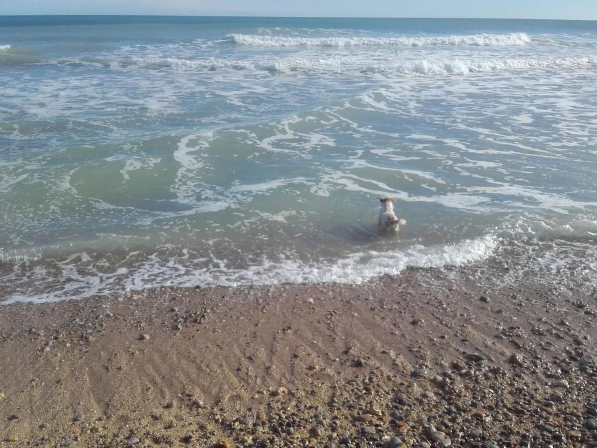 Apartamento Blanc Mar Peñíscola Kültér fotó